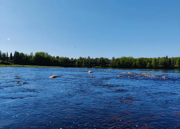 Aapishovi 샬레 Tapio